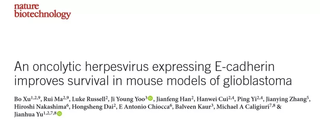 溶瘤病毒疗法新突破！