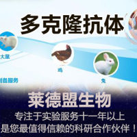 多克隆抗体制备