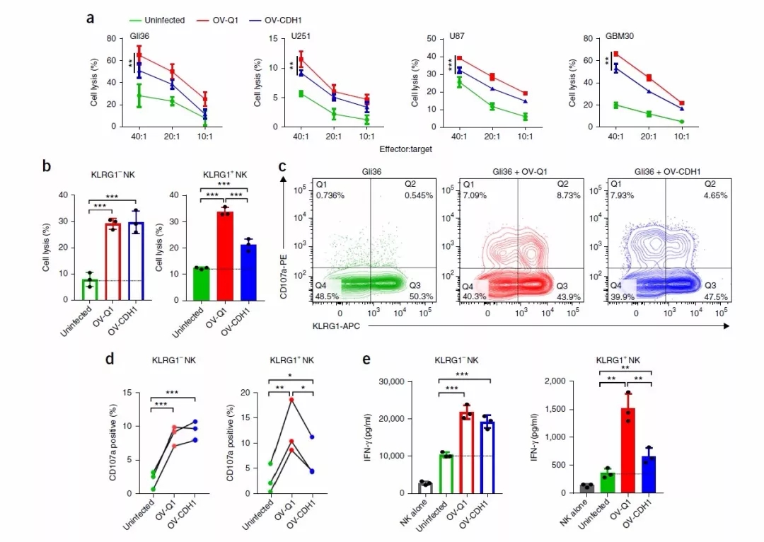 溶瘤病毒疗法新突破！