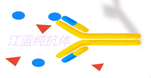 产品细节图片1