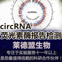 cirRNA荧光素酶报告检测(环状RNA)