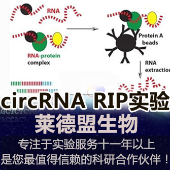 circRNA RIP(RNA immunoprecipitation)实验(环状RNA)