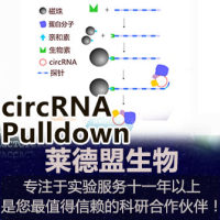 circRNA Pulldown(環狀RNA)