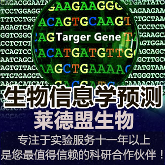 靶基因篩查-miRNA調控靶基因的生物信息學檢測