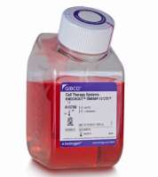 CTS™ KnockOut™ DMEM/F-12 