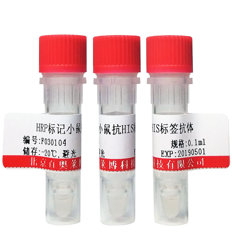 抗V5标签多克隆抗体