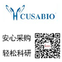 人GOT2 ELISA/人GOT2试剂盒