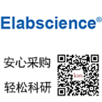 Rat TIEG1 (TGF-Beta-Inducible Early Response Gene-1) ELISA Kit/Rat TIEG1 (TGF-Beta-Inducible Early Response Gene-1)