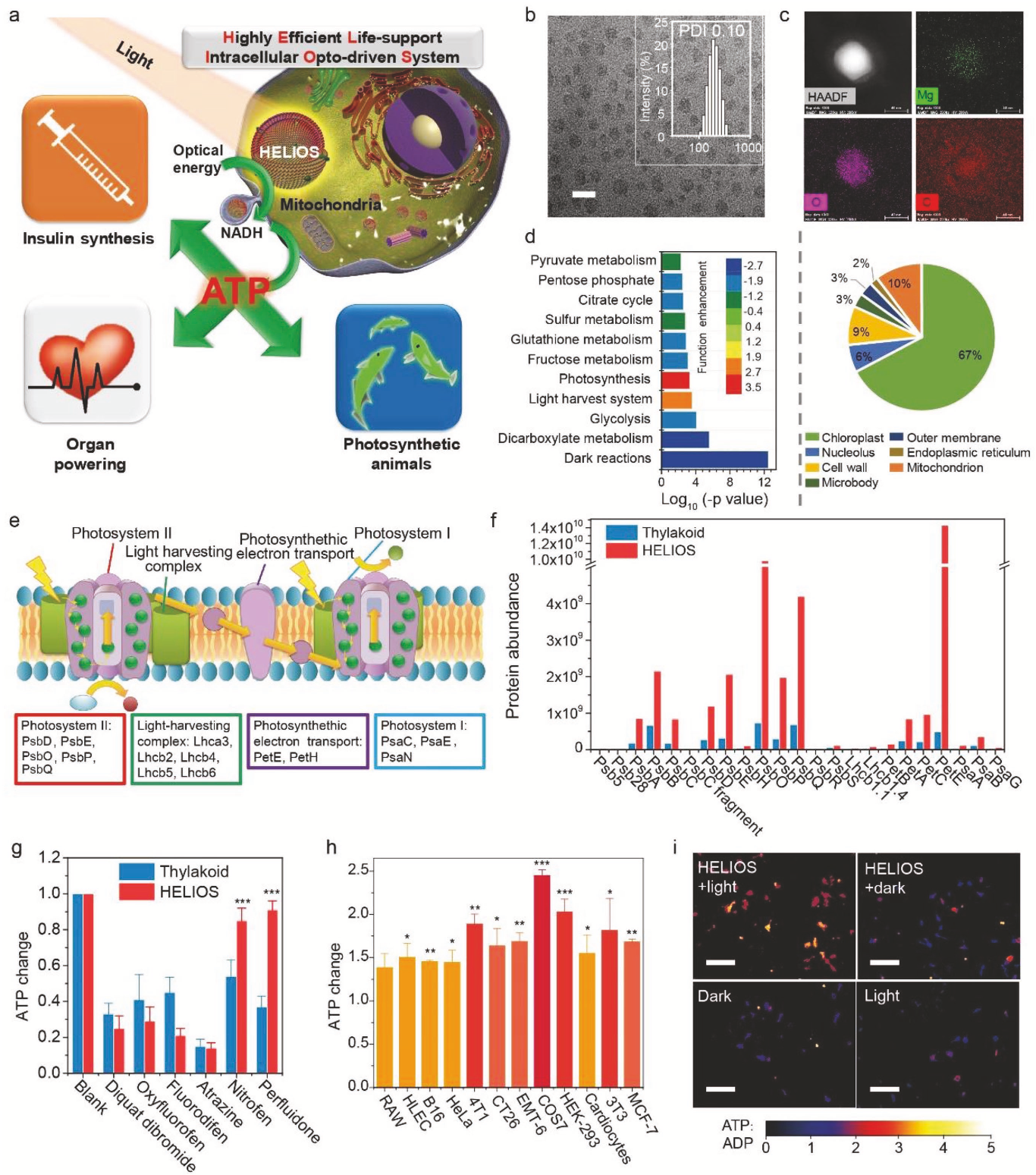【客户文章分享】biu~ biu~ biu~，IF=20+，又一篇高分文章来袭！