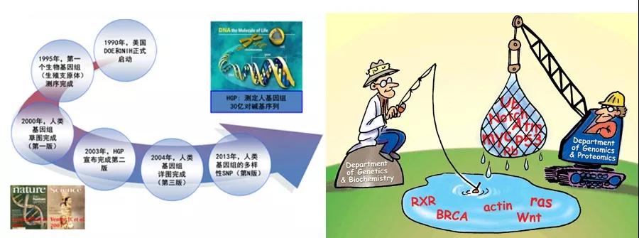 蛋白质组学与质谱技术的完美邂逅