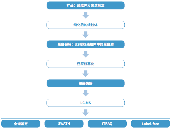 【直播预告】膜蛋白和线粒体蛋白组学在医学研究中的应用