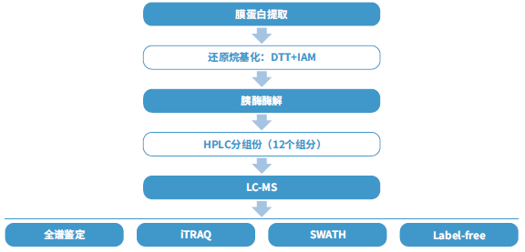 【直播预告】膜蛋白和线粒体蛋白组学在医学研究中的应用