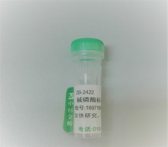 中杉金桥ZB-2422碱磷酶标记链亲合素 Alkaline Phosphatase Streptavidin