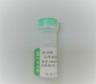 中杉金桥ZB-2308碱磷酶标记山羊抗兔IgG（H+L）（亲和纯化） Alkaline Phosphatase Goat anti-Rabbit IgG（H+L）