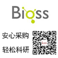 G蛋白偶联受体101 / G蛋白偶联受体101抗体