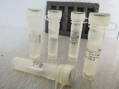 510-30-5刺囊酸 标准品对照品Echinocystic acid