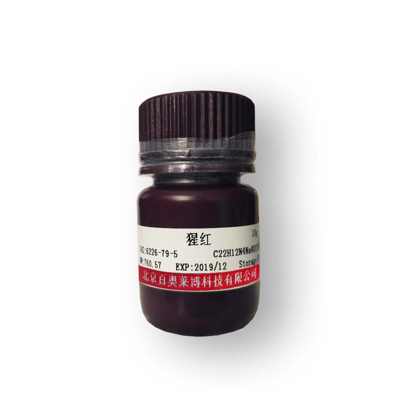 Western blot预染蛋白Marker(19～110kDa)