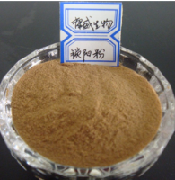 西安康威大量供应锁阳提取物