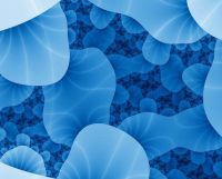 小鼠肺泡巨噬细胞培养试剂盒说明书