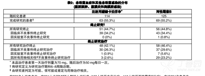 图片预览