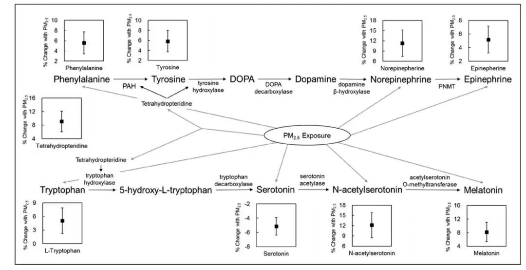 一篇影响因子:19.309的文章全代谢组学文章!