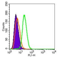FITC标记的G蛋白偶联受体84抗体