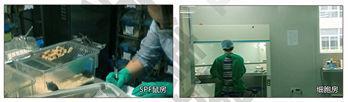 广州莱德盟生物科技有限公司