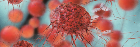 天下武功，唯快不破！看单细胞ICP-MS如何助力抗癌药物研究