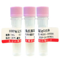 巯基氨基蛋白偶联树脂