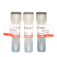 DL-半胱氨酸盐酸盐无水物