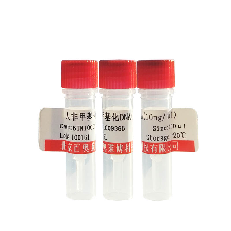 预染蛋白Marker(43～200kD)
