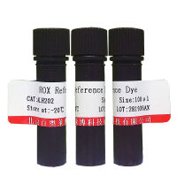 铜/锌超氧化物歧化酶(Cu/Zn SOD)