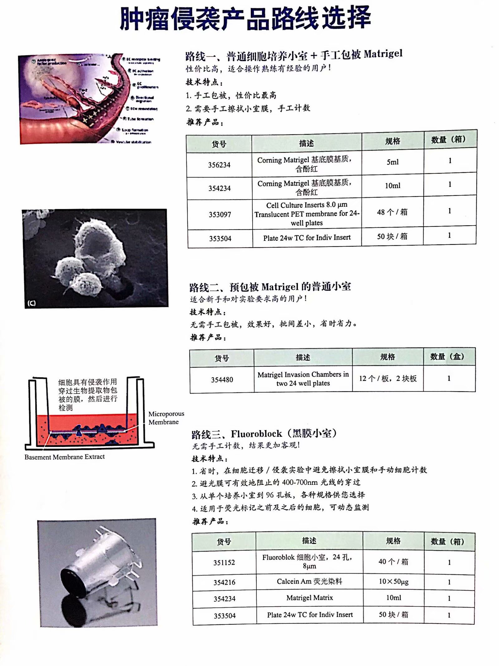 细胞侵袭小室24孔Transwell小室基质胶， 8.0μm