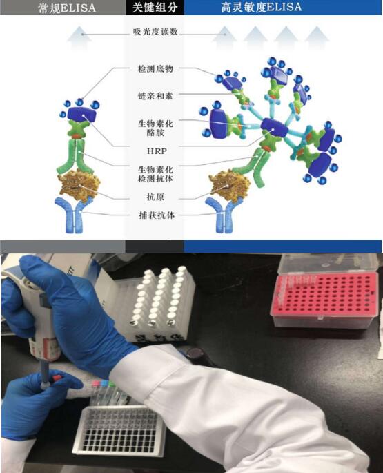 Human FKBP1B ELISA Kit