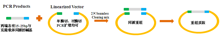 EzOmicsTM One Step Seamless Cloning  Kit