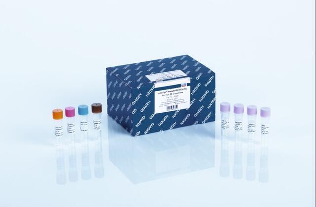 赭曲霉PCR检测试剂盒规格