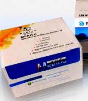 小鼠趋化因子(fractalkine/CX3CL1) ELISA Kit