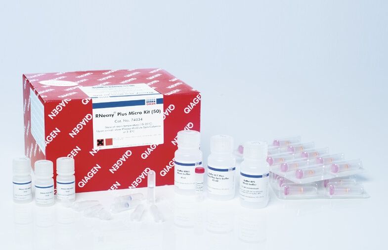 边缘无浆体PCR检测试剂盒品牌