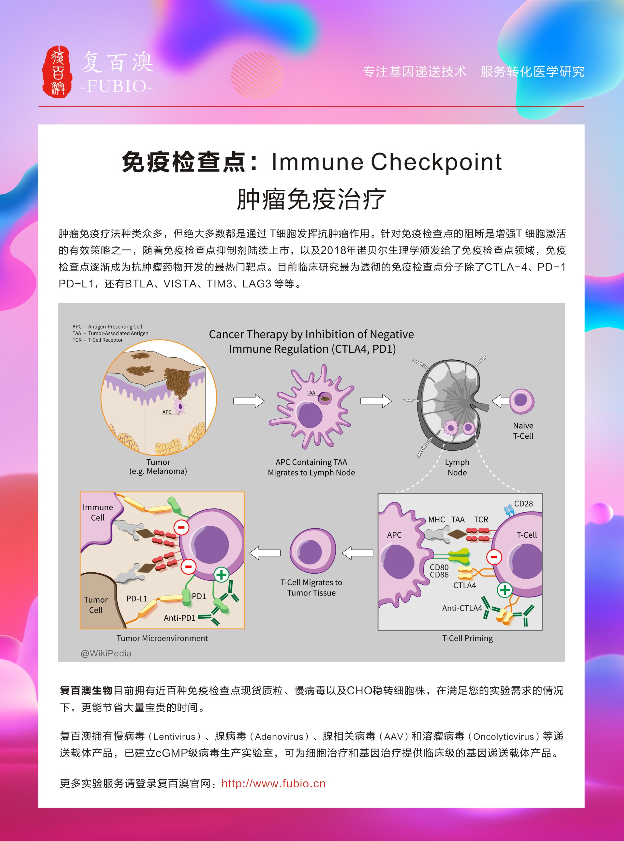 免疫检查点稳定细胞系（Immune Checkpoint Stable Cell Lines）