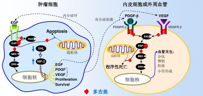 骨髓间充质干细胞＋外泌体＋siRNA＝1 区 SCI