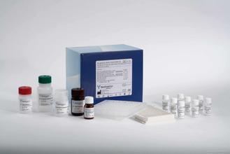 游离胆固醇（FC）含量测试盒50管/48样品牌