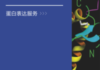 质粒构建及蛋白表达服务