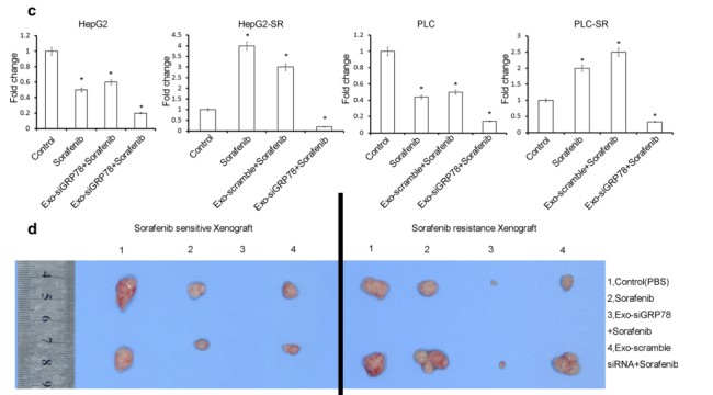 骨髓间充质干细胞＋外泌体＋siRNA＝1 区 SCI