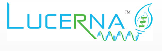 Lucerna 特约代理