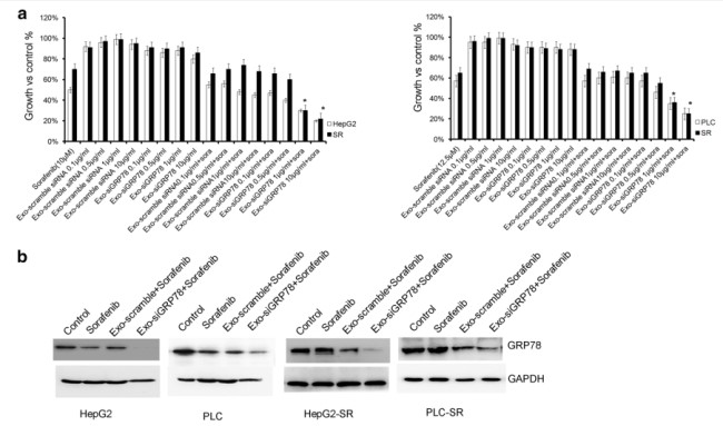 骨髓间充质干细胞＋外泌体＋siRNA＝1 区 SCI
