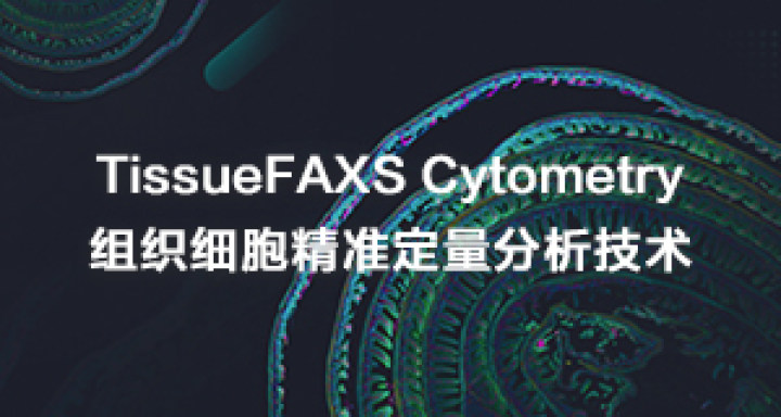 TissueFAXS Cytometry 组织细胞精准定量分析技术