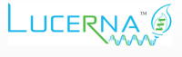 Lucerna 特约代理