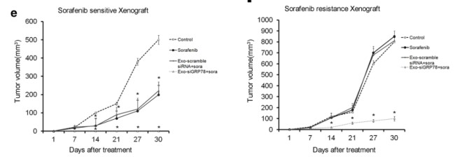 骨髓间充质干细胞＋外泌体＋siRNA＝1 区 SCI