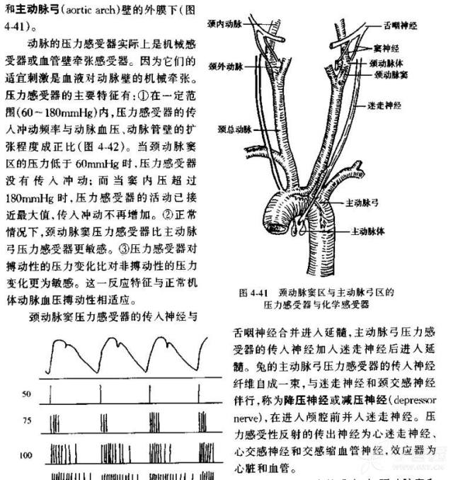 咳嗽的原理是什么意思_正常咳嗽痰是什么颜色(3)