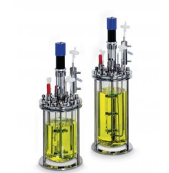 Eppendorf DASGIP® 台式生物反应器适用微生物发酵 76DR03F
